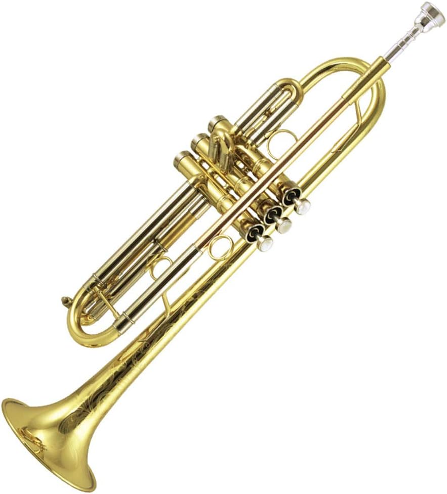 S50 beginner student level brass body gold lacquer Bb tone trumpet