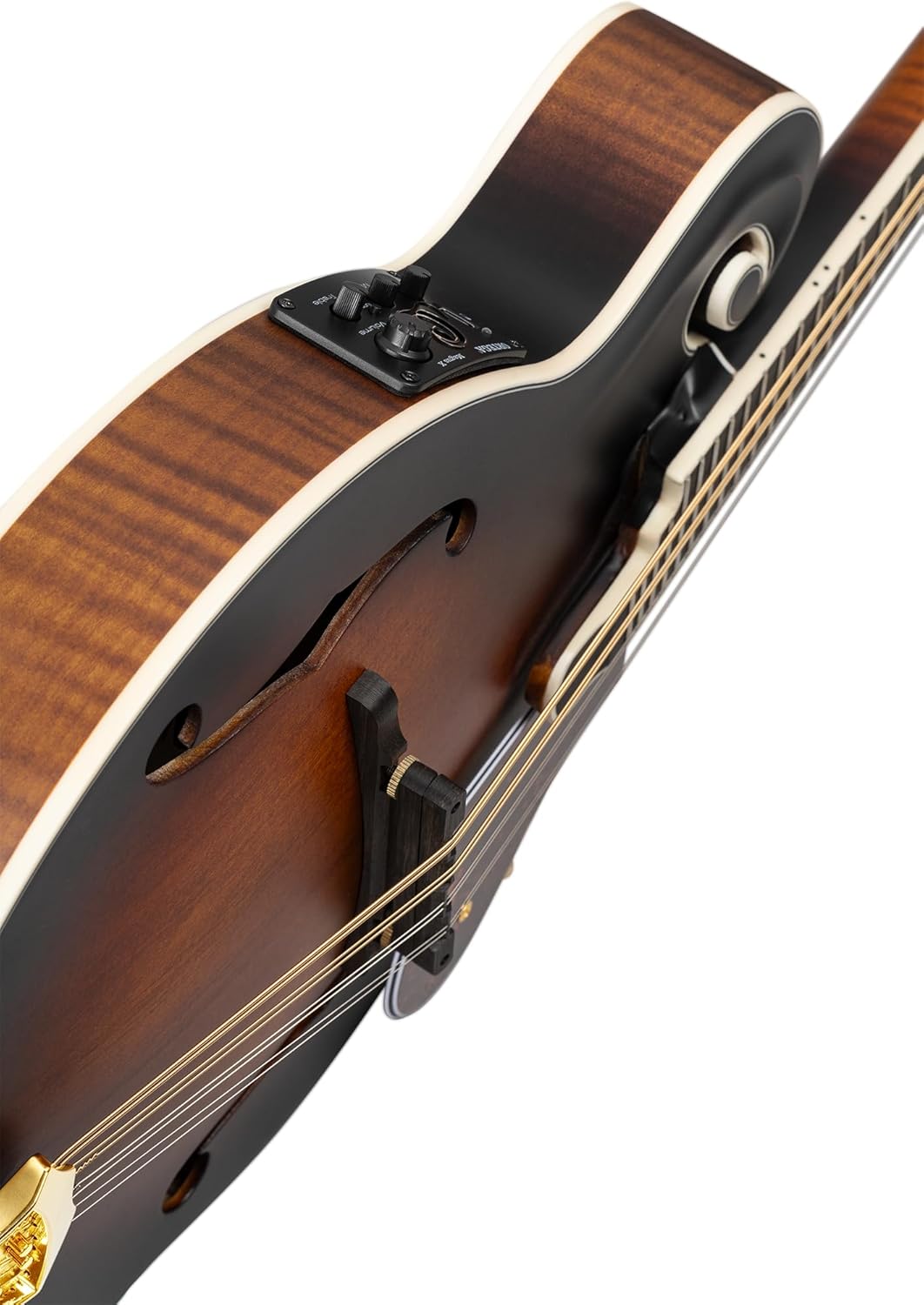 Ortega Guitars, 8-String F-Style Series All Solid Acoustic-Electric Mandolin w/Bag, Right, Gold (RMFE100AVO)