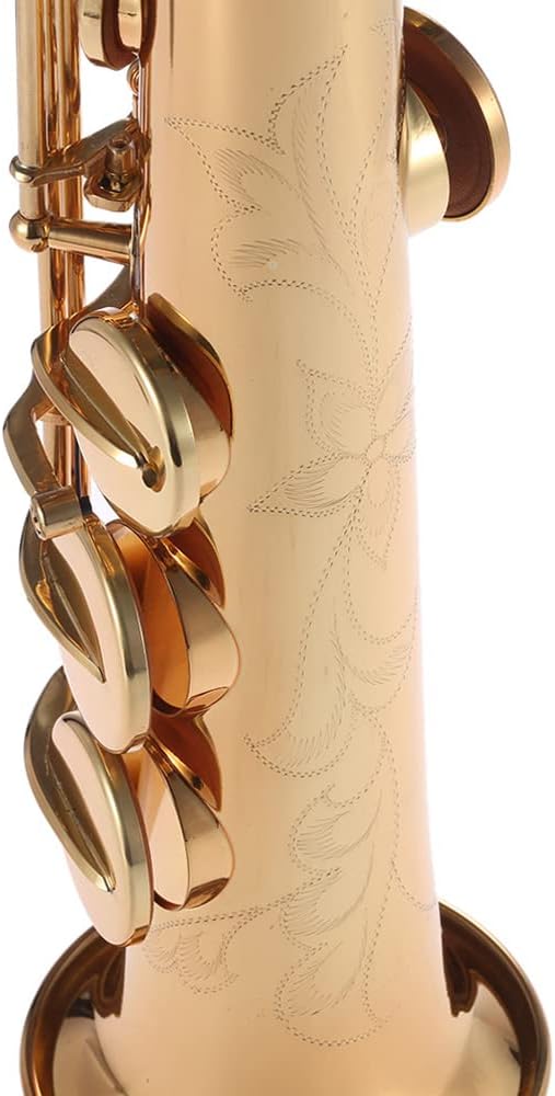 Brass Straight Soprano Sax Saxophone Bb B Flat Woodwind Instrument Natural Shell Key Carve Pattern with Carrying Case Gloves Cleaning Cloth Straps Cleaning Rod