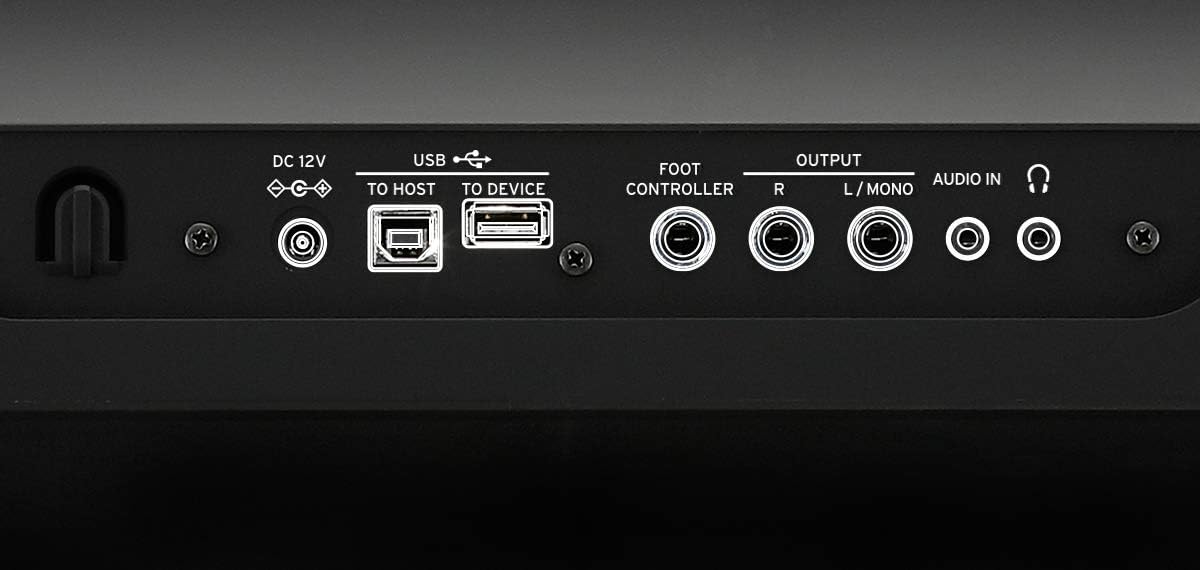 Korg EK-50L Limitless Entertainer Keyboard Bundle with Adjustable Stand, Bench, Sustain Pedal, Instructional Book, Austin Bazaar Instructional DVD, and Polishing Cloth