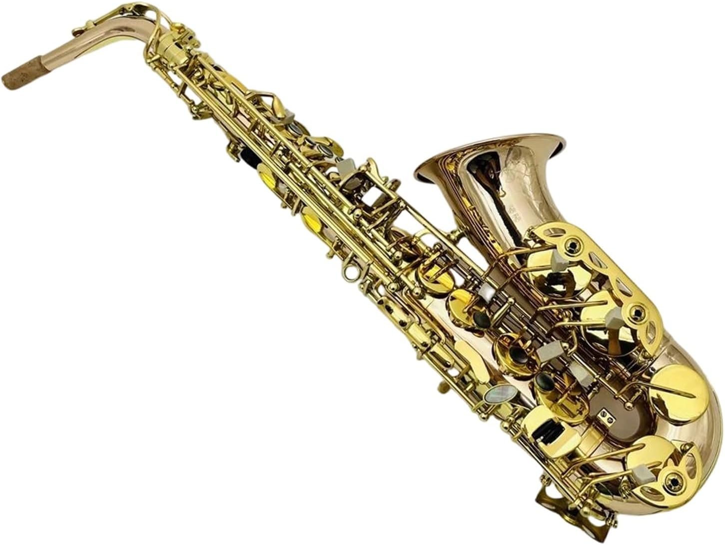 Professional Saxophone Alto Saxophone In E Flat Professional Woodwind Instrument