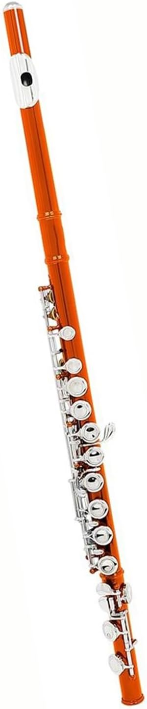 16 Closed Hole Flute C Color Professional Woodwind Instrument With E Key(Orange)