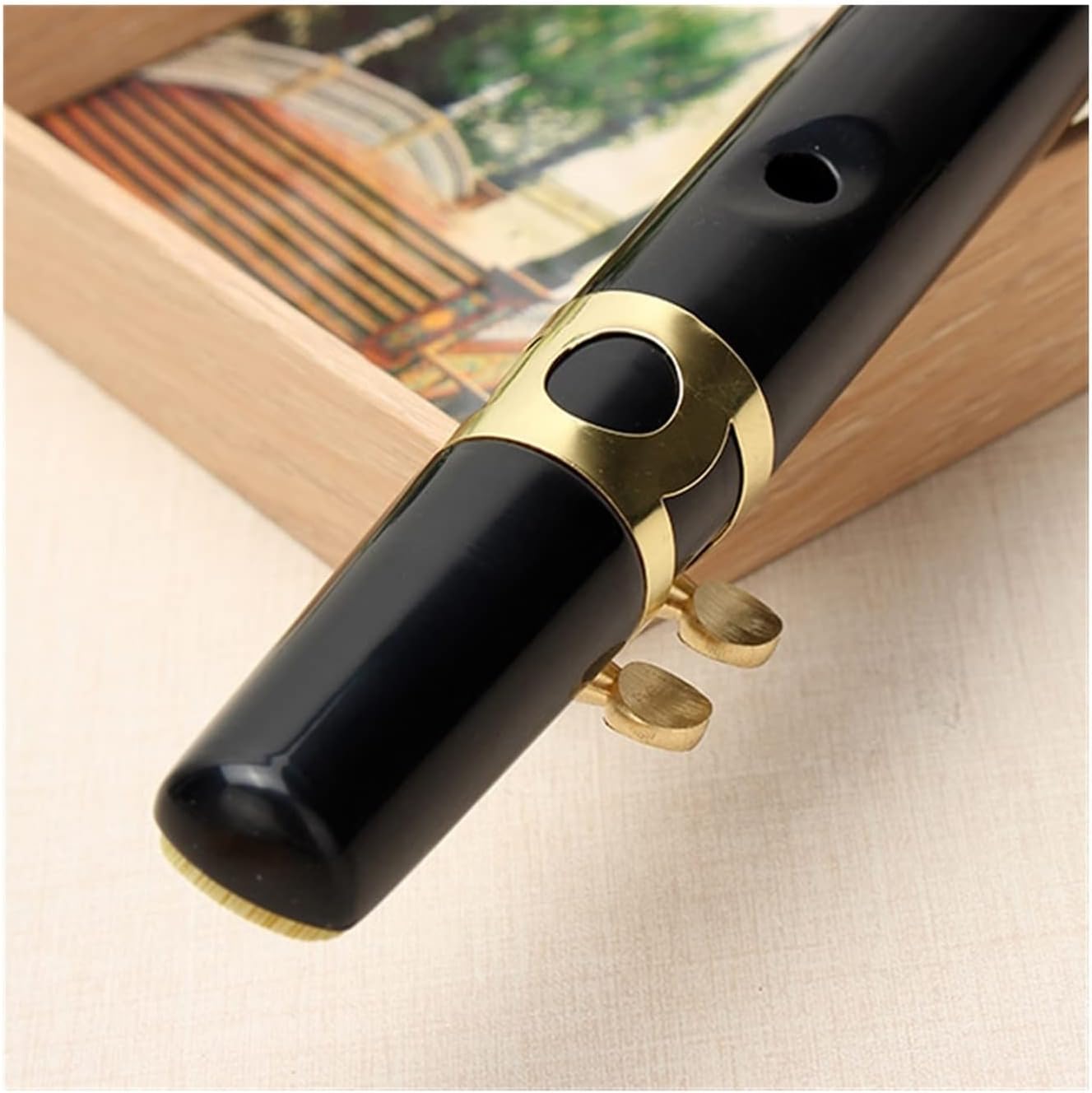 KESHUO Pocket Sax Alto C Tune Mini Sax Saxophone Little Sax Ophone Black with Carrying Bag Woodwind Instrument Brass Sax Beginners Kit