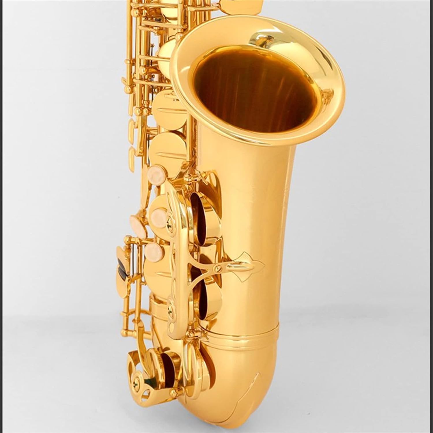 E Flat Alto Saxophone Woodwind Instrument for Adult Beginners