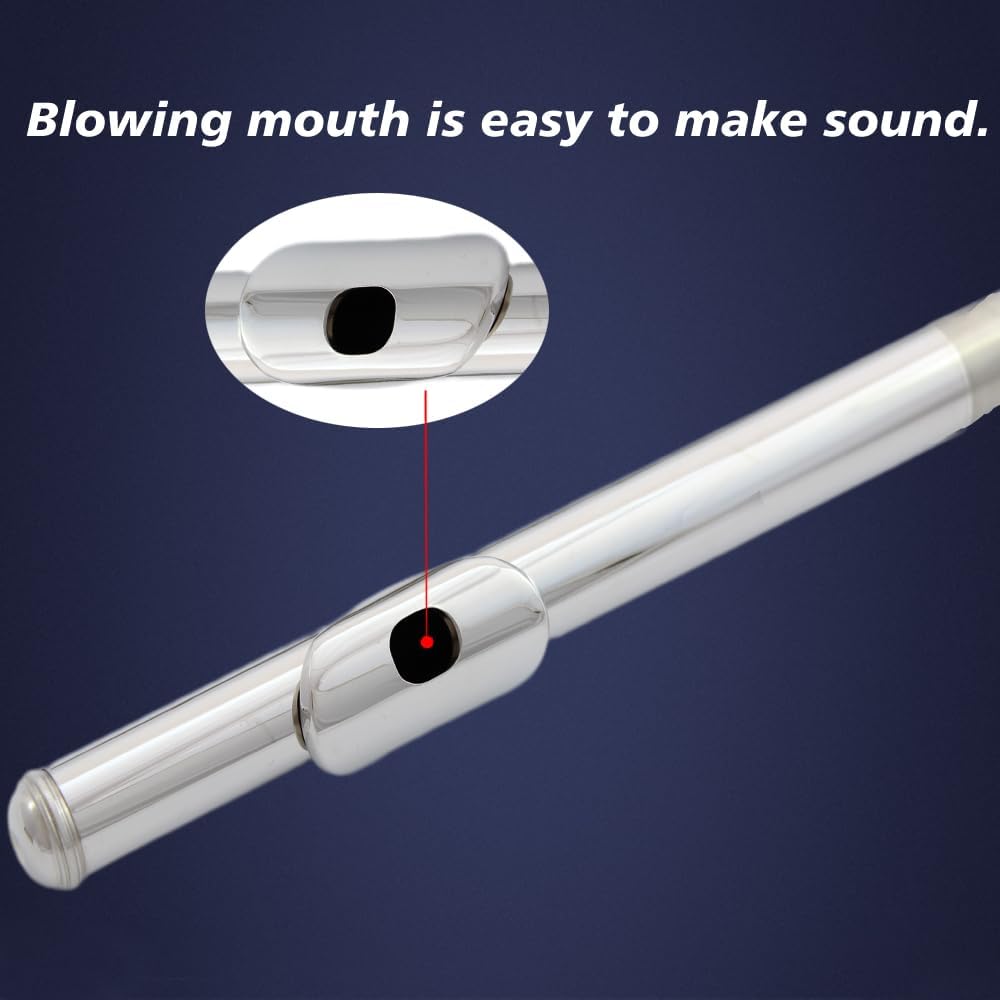 flute 16-hole closed-hole C-tone nickel-plated, beginner to play graded flute, with box and cleaning kit.