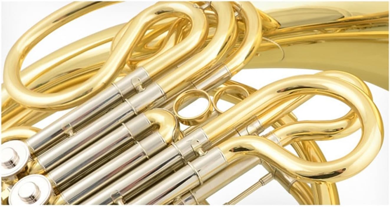 Double French Horn Professional Instrument B flat