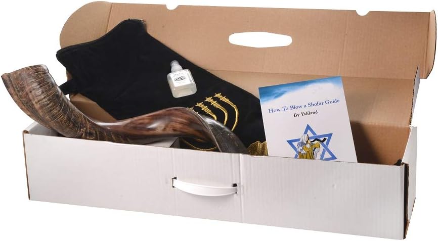 Authentic Kudu Shofar Horn Set by Yaliland | Yemenite Style Half Polished, Half Natural | Includes Velvet Bag, Cleaning Spray, Guide & Carrying Box (26-28 Inch)