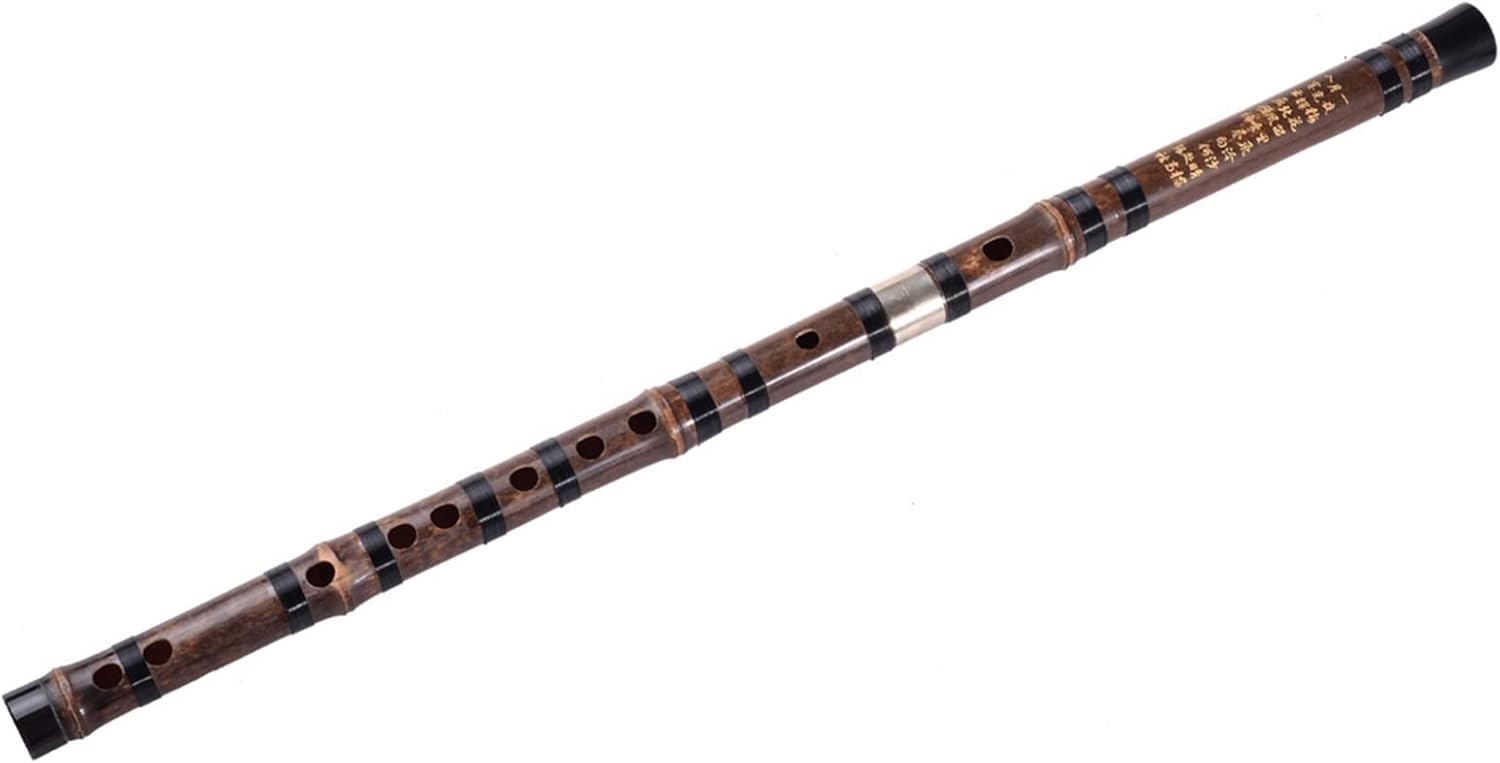 TSTS Chinese Bamboo Flute Chinese Transverse Flute Professional Wind Musical Instruments Purple Bamboo Flute Handmade with Accessories (Color : G Key)