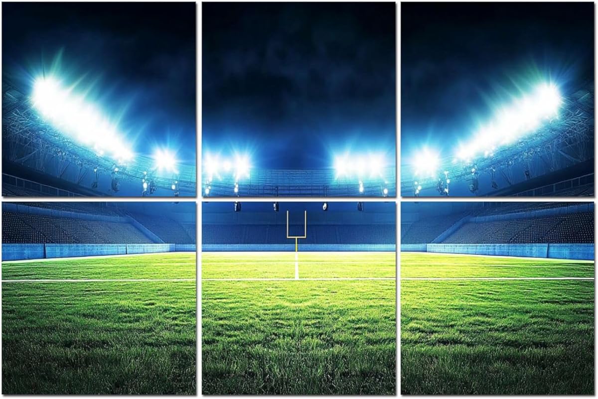 6 Pack Art Acoustic Panels overview american football stadium soccer balls pictures Sound Absorbing Panel 48