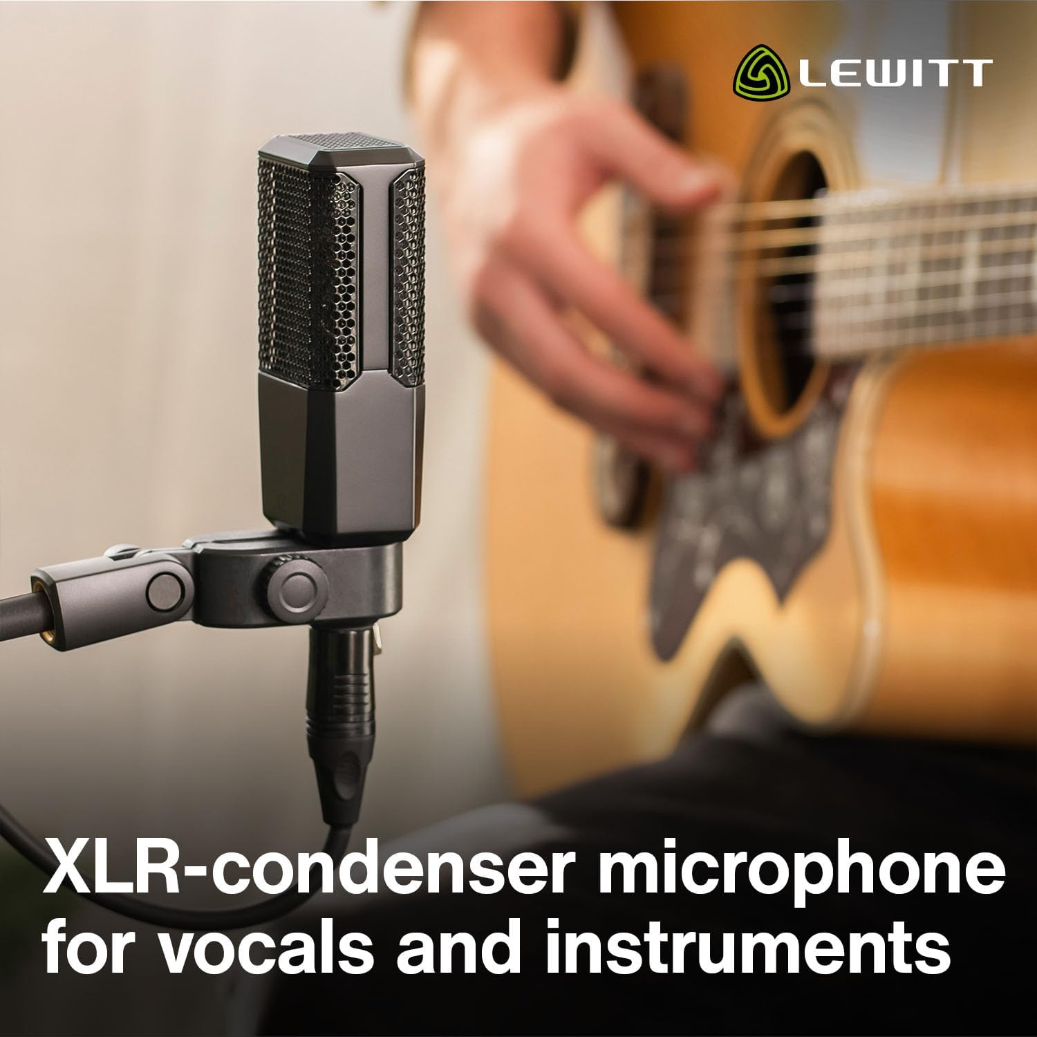 LEWITT LCT 240 Pro Large Diaphragm Condenser Mic