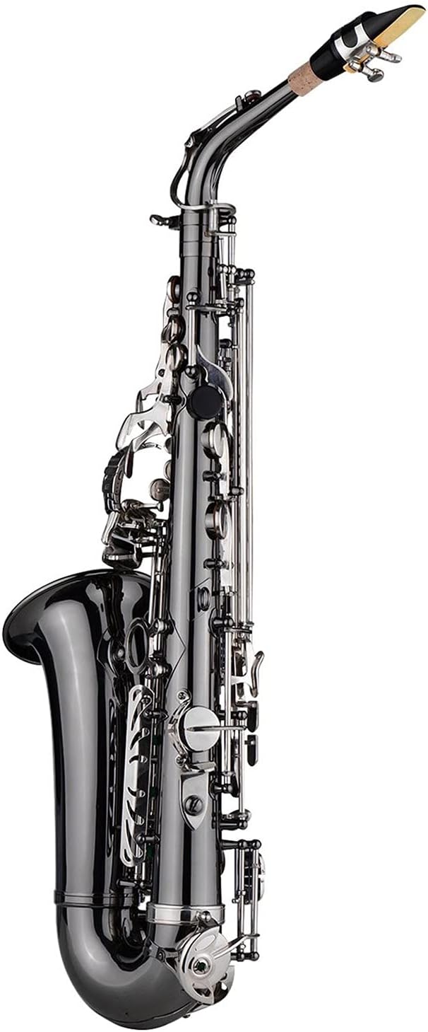 Professional Brass Bend EB E-Flat Alto Saxophone Sax Black Nickel Plating Abalone Shell Keys with Case Gloves Cloth Straps Student Saxophone