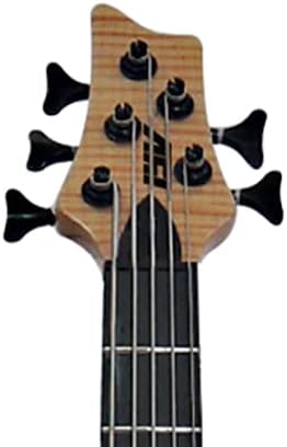 IYV IBSY-500 Neck-through Sycamore top Multi-ply 5-string Bass