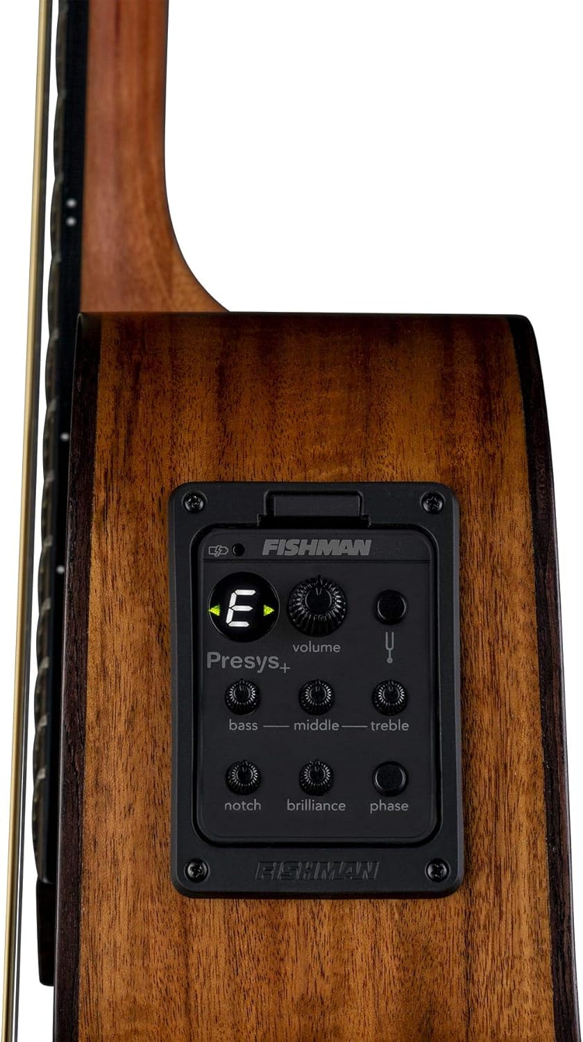 Dean US1000351 Hillsboro 5-String Bass Guitar, Gloss Natural