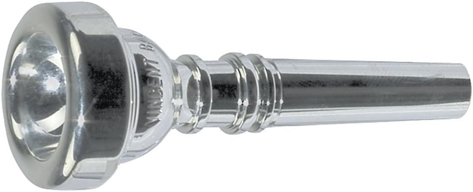 Vincent Bach Trombone Cleaning and Care Product (3491E)