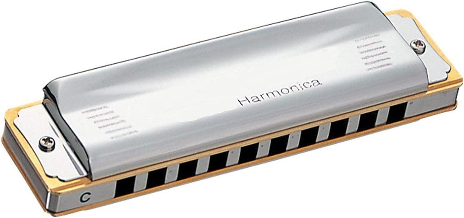 Harmonica Harmonica 10 Holes Diatonic Blues Harp Brass Reeds Mouth Organ Key C Metal Comb Musical Instruments Silver (Color : Key Bb)