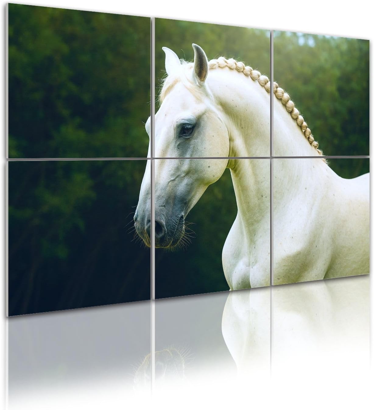 6 Pack Art Acoustic Panels Self Adhesive Beautiful arabian horse lipizzaner running nature Decorative Soundproof Wall Panels Sound Absorbing Panel 48