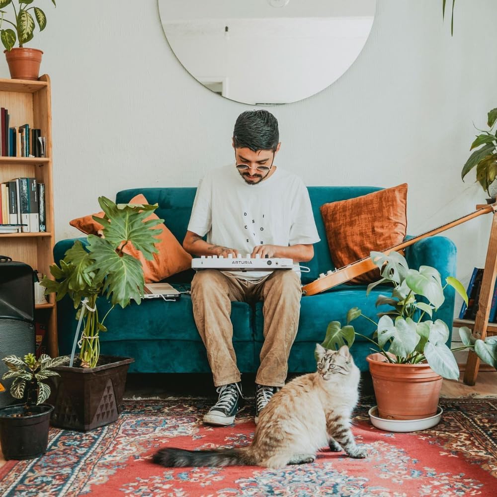 Arturia MiniLab 3 Mini Hybrid Keyboard Controller Bundle with iCON Pro Audio USolo Recording Interface, USB Cable & Liquid Audio Polishing Cloth - 25 Key Midi Controller, Recording Studio Equipment