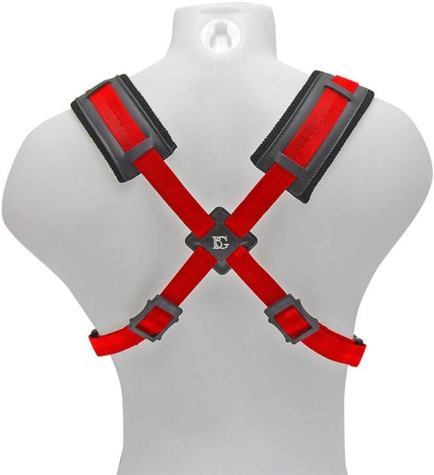 BG 6 String Acoustic Bass Guitar, Right, (S419CSH)