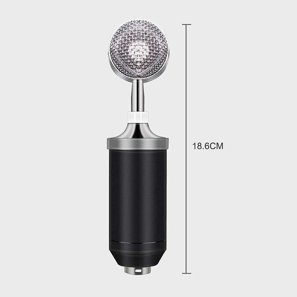 Microphone Condenser Microphone Set, Recording Microphone Microphone Set for Chatting and Singing, Blue