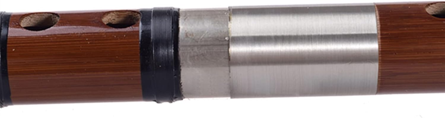 TSTS Chinese Bamboo Flute Traditional Chinese Bamboo Flute Dizi Professional Wind Musical Instruments Transverse Flute E Key with Case