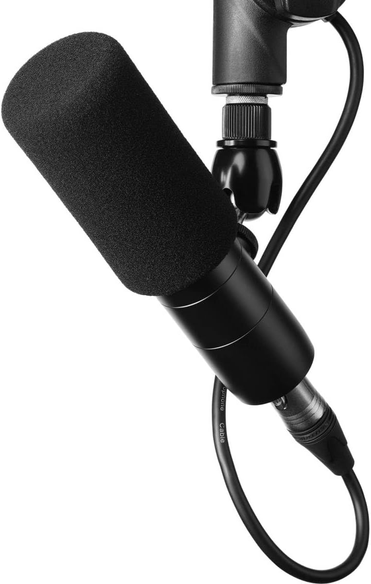 Earthworks ETHOS Condenser Broadcast Microphone - Black