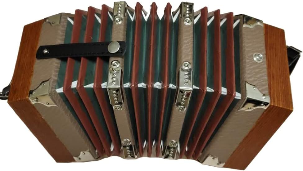 20 Buttons Piano Accordion, Musical Instrument, Professional Accordion Concertina, With Carrying Bag, Excellent Gift For Children Friends