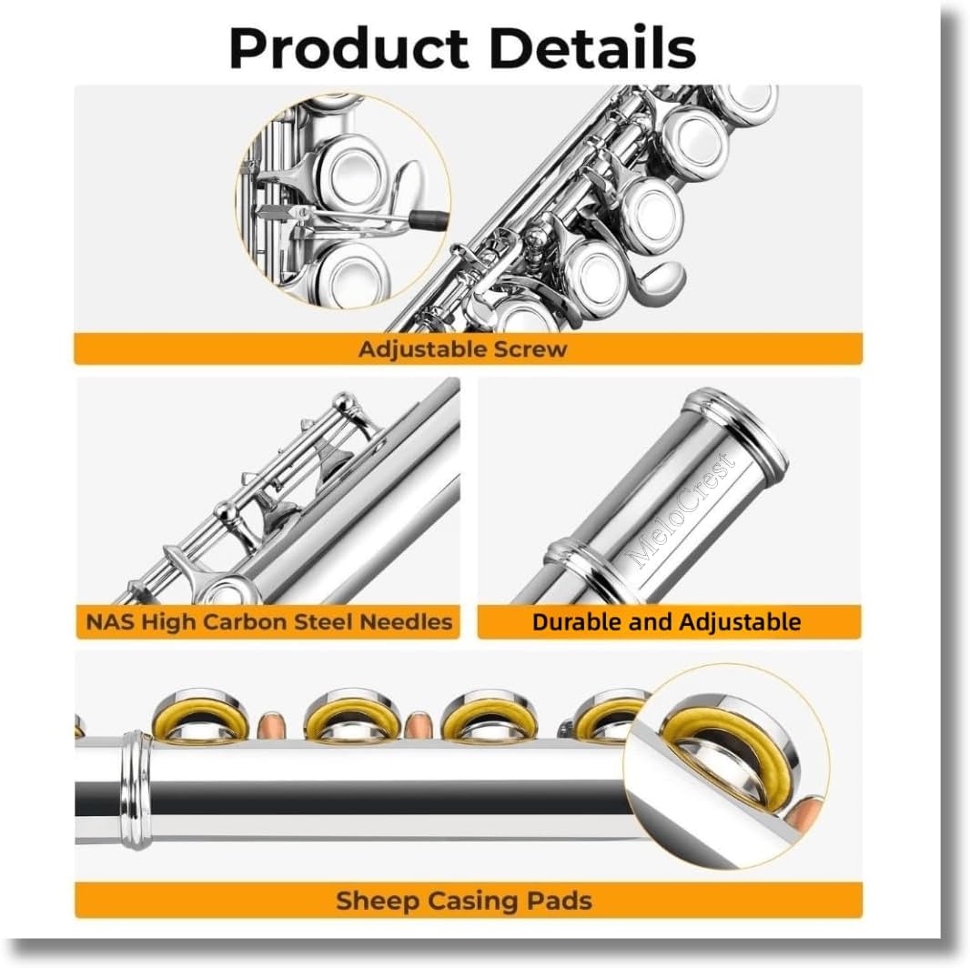 Nickel Plated Closed Hole Flute for Beginner Student and School Orchestra Band, 16 Keys C Flute with Carrying Case, Stand, Gloves, Cleaning Kit & Tuning Rod and More