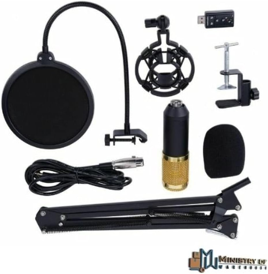 Studio Audio Recording Arm Stand Shock Mount Professional Condenser Microphone Kit