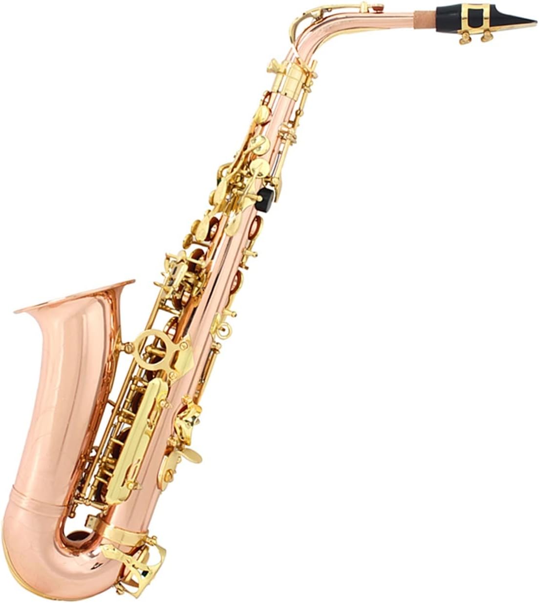 EB Alto Saxophone Phosphor Bronze Material E Flat Sax Woodwind Instrument Saxophone with Case Beginner Saxophone