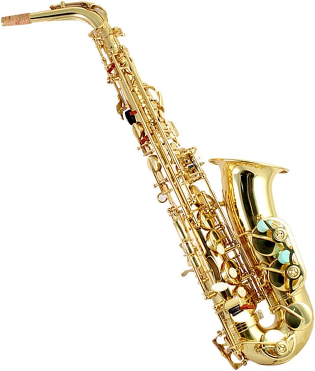 Beginner saxophone Alto Saxophone Eb Key Instrument Two-button Beginner's Grade General Wind Instrument