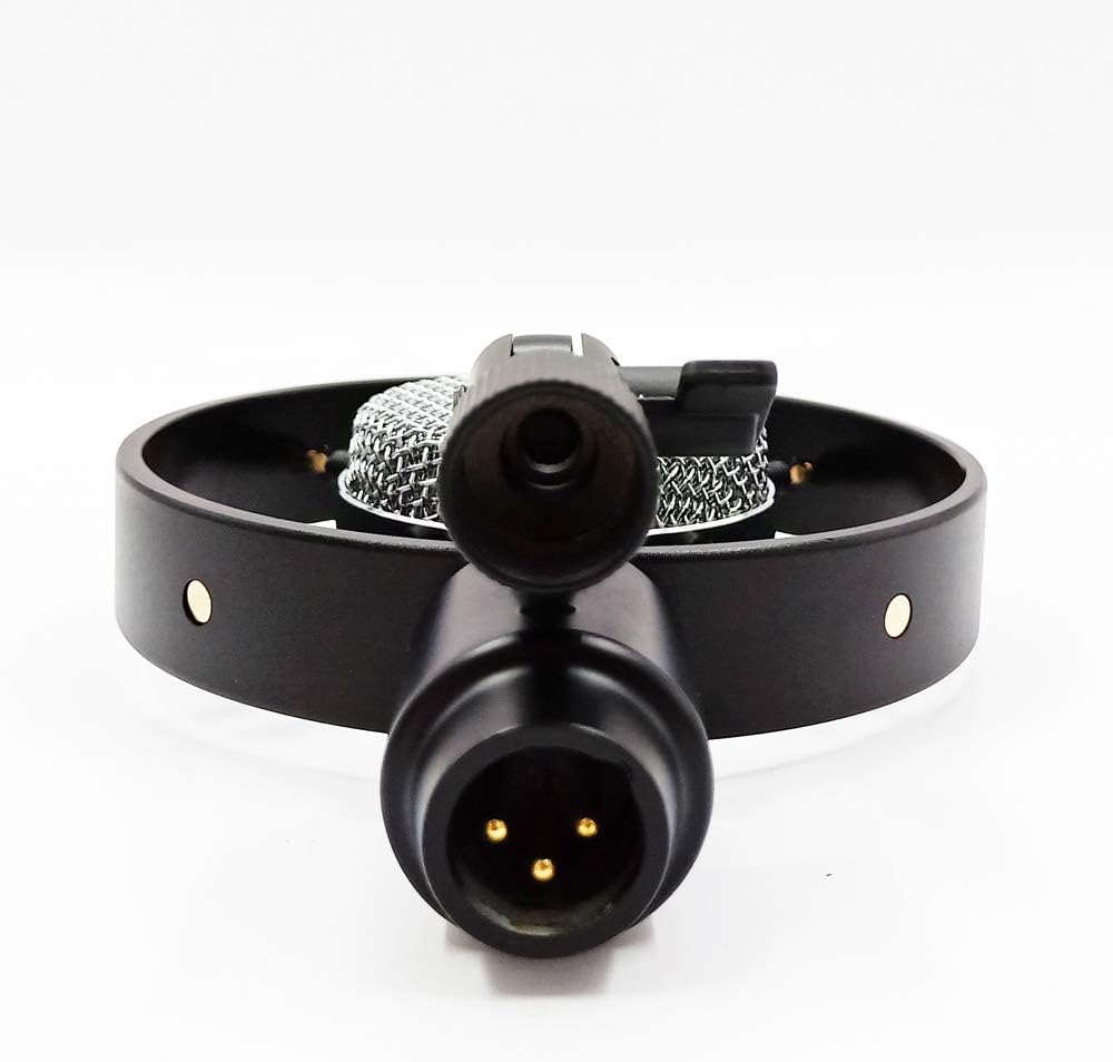 Antique Vintage Classic Cinema Theater Auditorium Speech Live Vocal 25mm Big Diaphragm Condenser Microphone