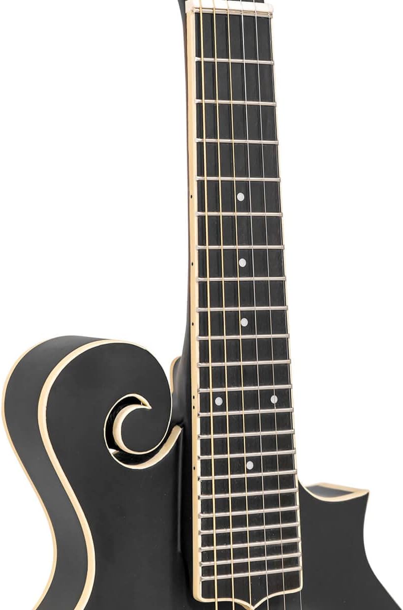 Goldtone F-6 Long Scale Manditar Cutaway Mando-Guitar w/Case