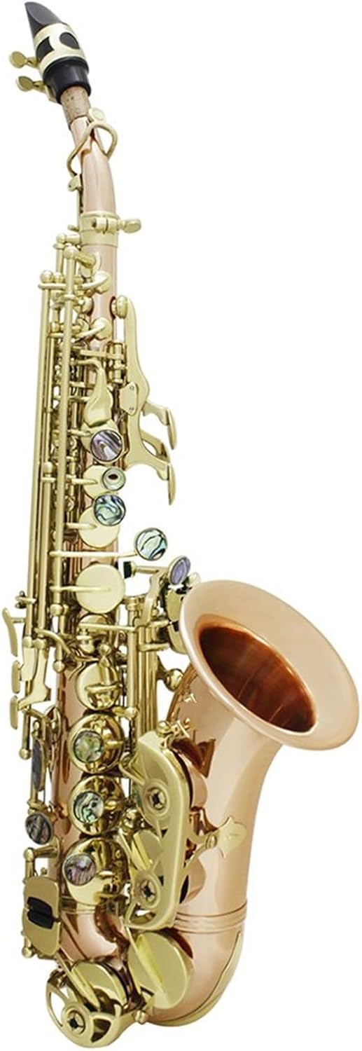 KESHUO Alto Saxophone Sax Phosphor Copper Woodwind Instrument with Carry Case Gloves Cleaning Cloth Brush Sax Brush Brass Sax Beginners Kit