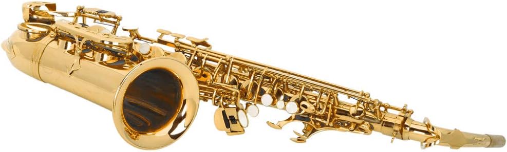 Stylish Mid-range Alto Drop E Saxophone,Professional Alto Eb SAX Saxophone, Alto Saxophone with Cushions,case,carekit (Gold)