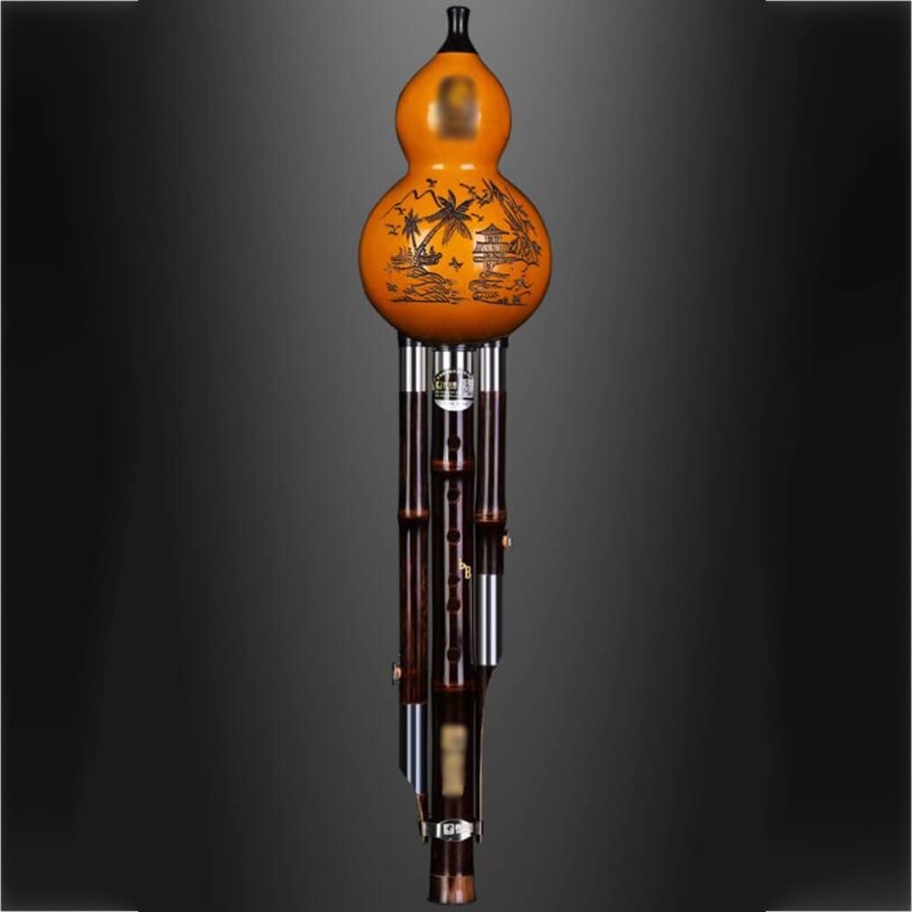 Flutes Musical Instruments Hulusi Musical Instrument Performance Type Beginner Cucurbit Wind Instrument with Chinese Knot and Box Music Playing The (Color : Brown, Size : B Flat)