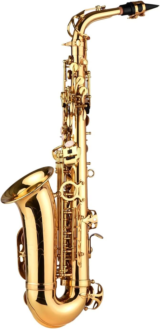 EB Alto Saxophone Brass Lacquered Alto Sax Wind Instrument with Carry Bag Gloves Straps Cleaning Cloth Brush Student Saxophone