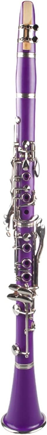 Purple ABS Clarinet Bb Cupronickel Plated Nickel 17 Key with Cleaning Cloth Gloves Screwdriver Woodwind Instrument Professional Clarinet