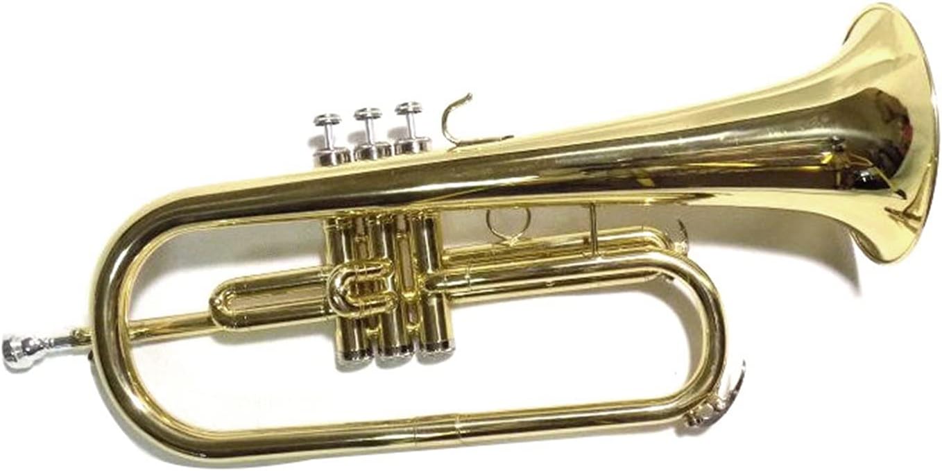 FLFL Student Trumpet Bb Thick Tube Cornet with Shell Mouthpiece Yellow Brass Thick Tube Cornet Musical Instrument