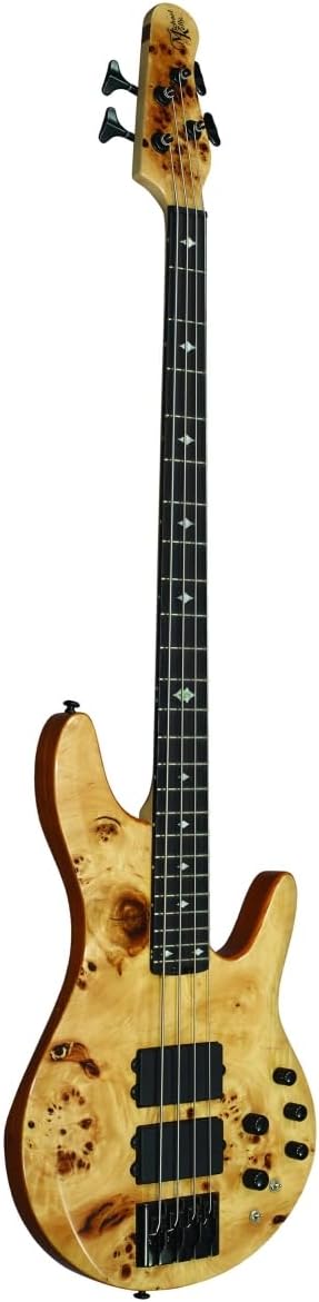 Michael Kelly Pinnacle 4 Bass Guitar