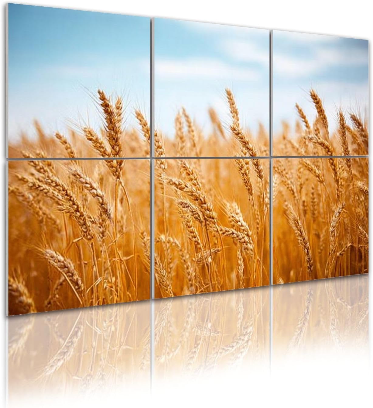 6 Pack Art Acoustic Panels Self Adhesive Golden wheat ears 48