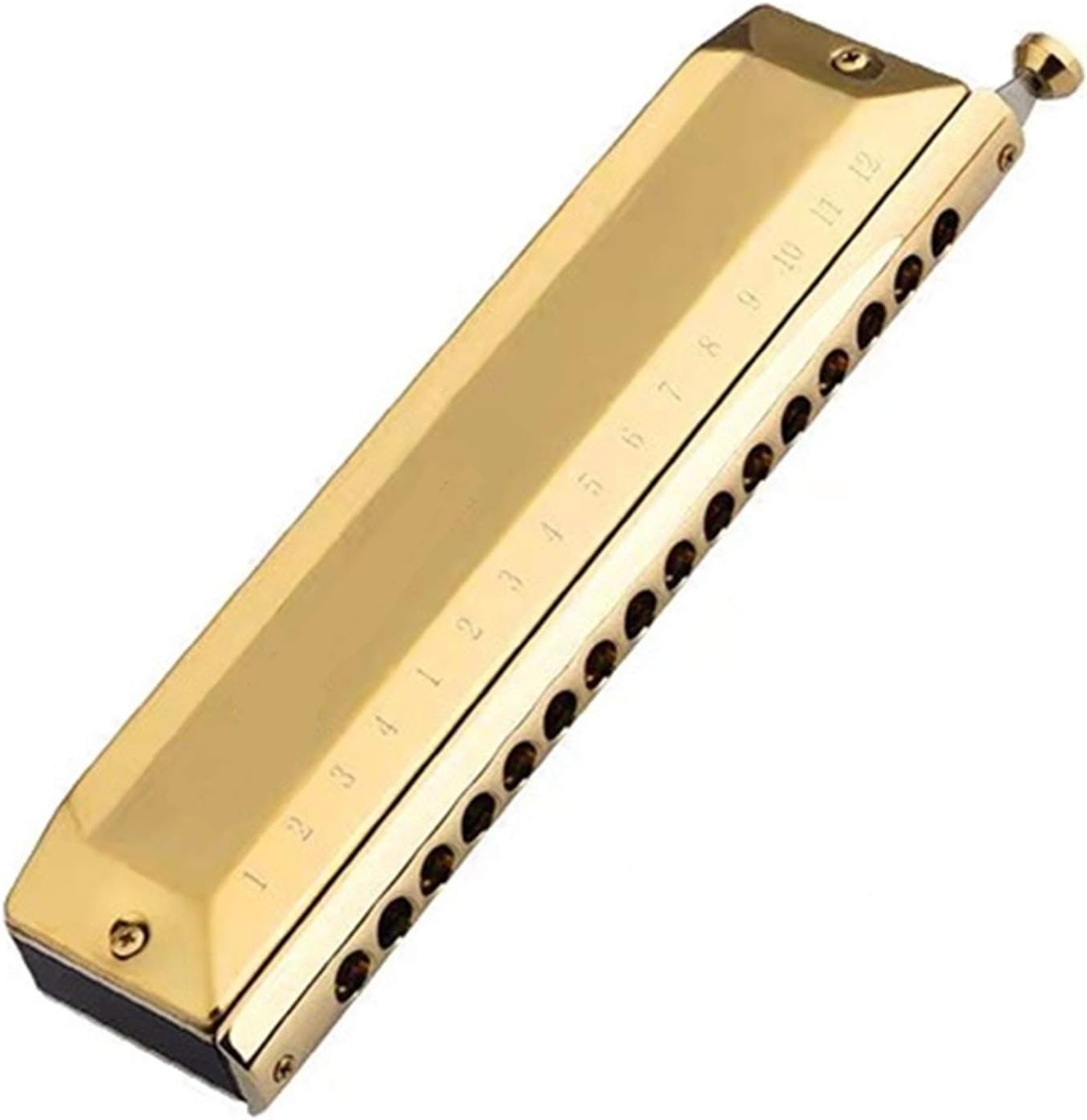 Harmonica Chromatic Harmonica 12 16 Holes Mouth Organ Instrumentos Key of C Phosphor Bronze Reeds Musical Instruments (Color : Golden 1248)