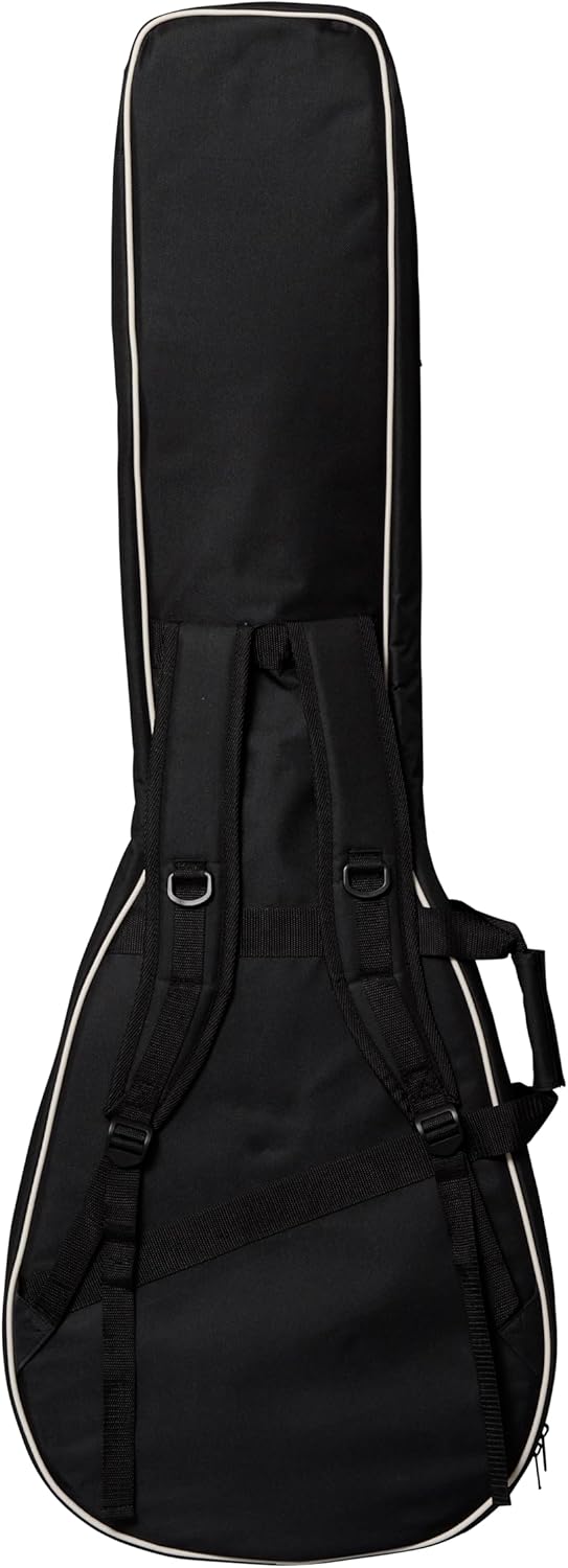 Epiphone Jack Casady Fretless Bass, Aged Royal Tan with Bag