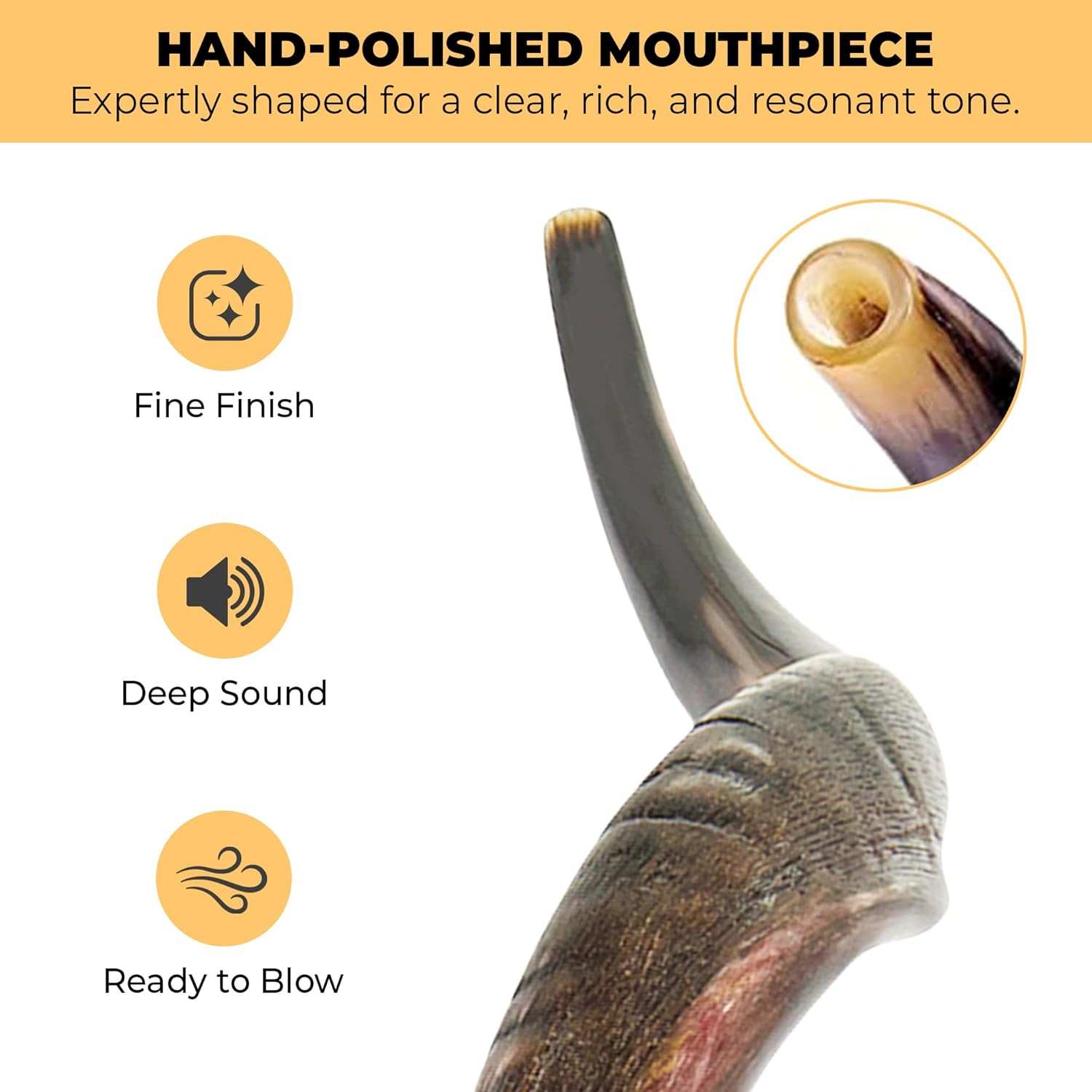 Kudu Shofar | Kosher Horn from Israel | Size 27-31 Inch