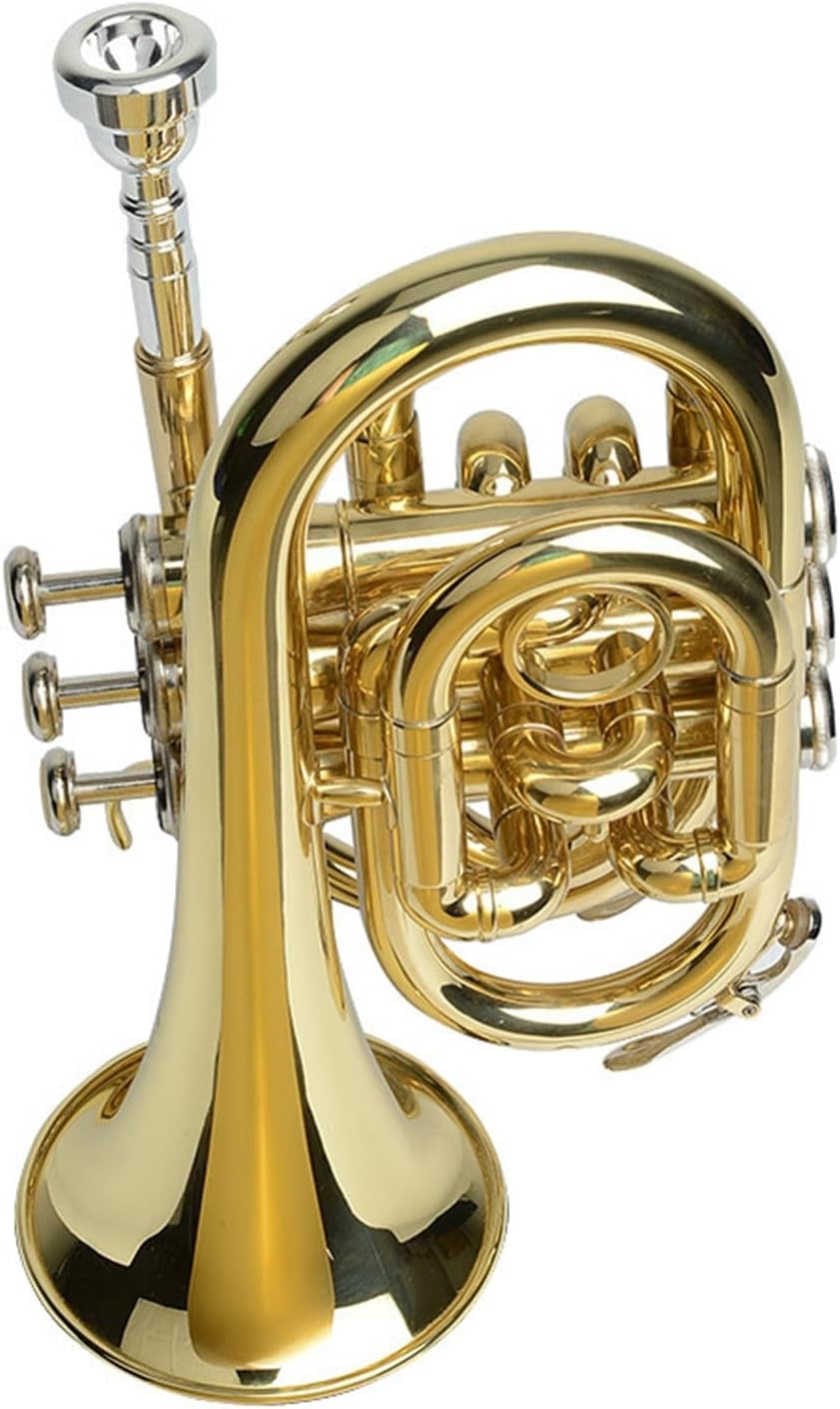 B flat mini trumpet cornet suitable for beginners