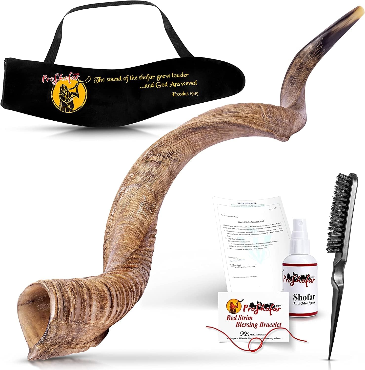 Israel Shofar Set, Natural Kudu Horn Shofar, Kosher Yemenite Traditional Musical Instrument for Jewish Spiritual Ceremonies and Religious Sermons