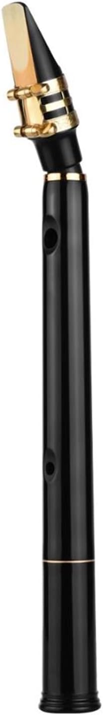Black Pocket Sax Mini Portable Saxophone Little Saxophone with Carrying Bag Woodwind Instrument Musical Accessories Professional Saxophone (Color : Style3)