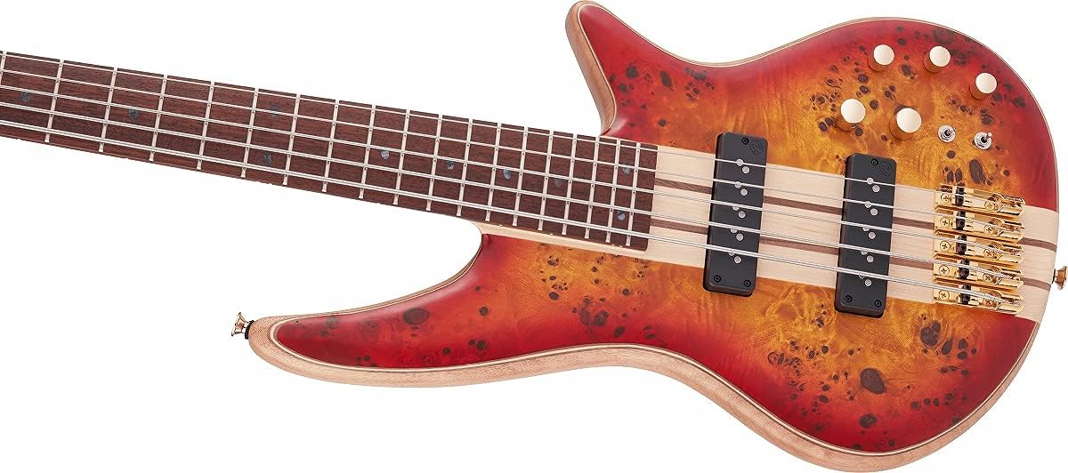 Jackson Pro Series 5-String Spectra Bass SBP V, Cherry Burst, Caramelized Jatoba Fingerboard