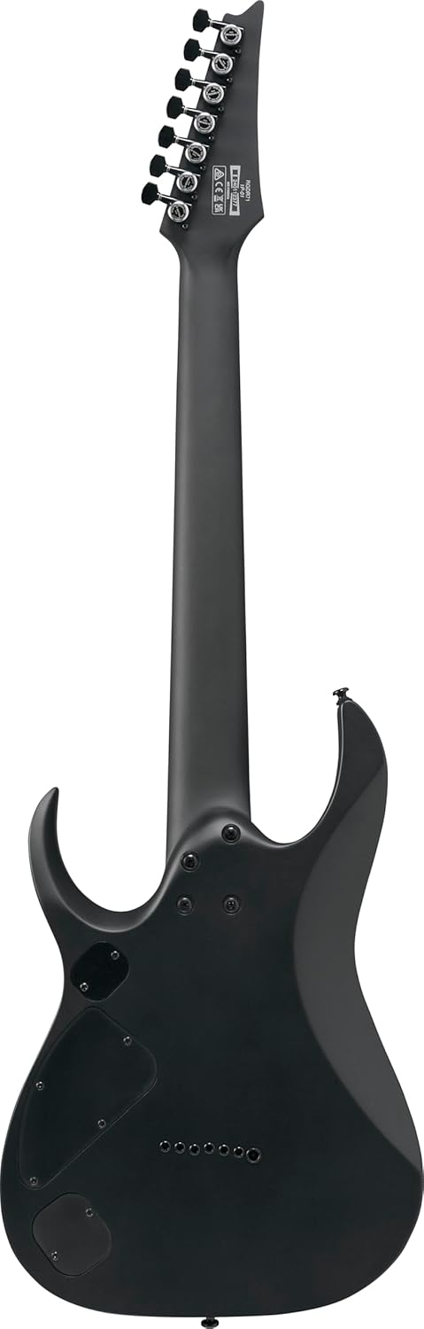 Ibanez RGDRB71 Iron Label 7-String Right-Handed Electric Guitar with Nyatoh Body, Roasted Maple Neck, and Ebony Fingerboard (Black Flat)