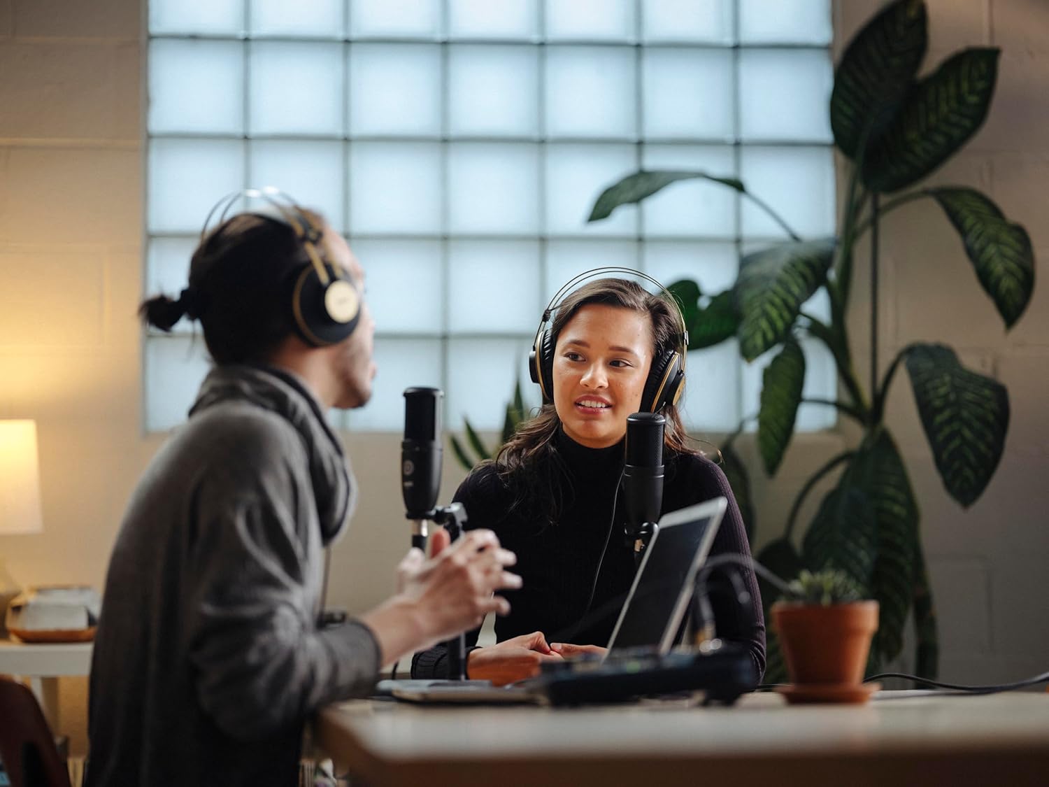 AKG Pro Audio P120 - Affordable 2/3-Inch Diaphragm Condenser Microphone for Clear Vocals & Instruments. Studio Recording or Live. XLR Connector. Black