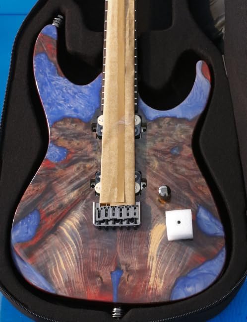 Leo Jaymz Electric Guitar Monsoon Deluxe See What You Get Series, Mahogany Body, Roasted Maple Neck, Rosewood Fretboard, Locking Tuners, Rounded Frets, Case (BC-0007-066)